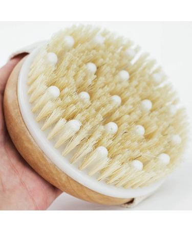 Dry Brushing Body Brush - Exfoliating Skin Scrubber for Cellulite & Lymphatic Drainage - Buy Online on GoSupps.com