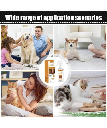 Naqqios Detangling Spray for Pets 100ml Leave-In Formula No Tangle Formula Gentle Care Gel for Dogs and Cats Softening Coat Treatment Daily Care Solution - Buy Online on GoSupps.com