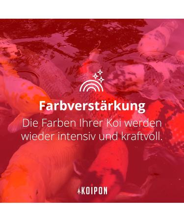 Koipon Performance Koi Food 4 kg | Summer Formula for Color Enhancement | 6% Spirulina | Floating 6 mm Pellets | Ideal for Koi & Goldfish - Buy Online on GoSupps.com