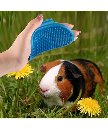 Bunny & Guinea Pig Grooming Kit | 3- Piece Bath Brush Set with Adjustable Hand Strap - Buy Online on GoSupps.com