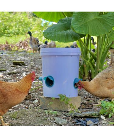 Whimsii No Waste Automatic Chicken Feed Dispenser - Weatherproof Poultry Feed Station for Chickens & Ducks (4 Dispensers + Hole Saw) | International Shipping Available - Buy Online on GoSupps.com