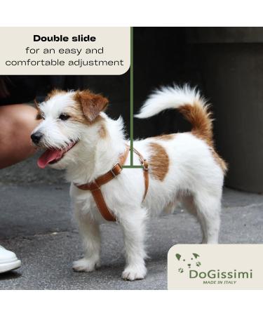 Dogissimi Leather Dog Harness | Adjustable Ergonomic Dog Harness for Small & Medium Dogs | Handmade in Italy | Military Style (M) 41-51 cm - Buy Online on GoSupps.com