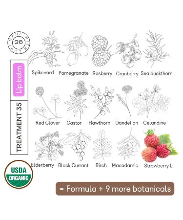 Organic28+. 100% Organic Lip Balm For Women USA Made. 35 Botanicals. Rejuvenating Natural Lip Balm. Lip Moisturizer For Very Dry Lips. Hydrating Lip Balm & Lip Oils. Jasmin Aromatherapy. 1.1 FL. Oz - Buy Online on GoSupps.com