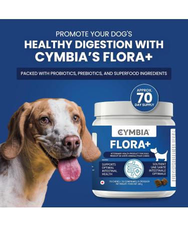 Cymbia Flora+ Microflora Digestive Health Supplement for Dogs - Prebiotics & Probiotics for Dogs - Supports Gut Health & Immune System - Active Blend Floramuno Boost+ Approx. 70 Days Supply - Buy Online on GoSupps.com