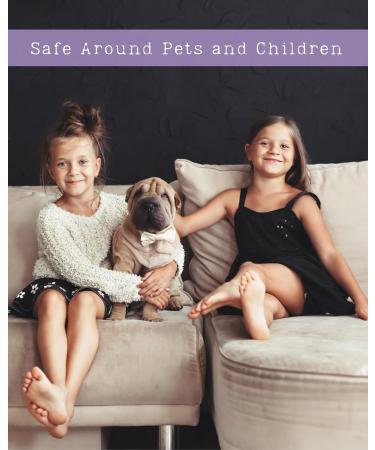 Lilac Blossom Natural Hair & Body Mist Spray Pure Essential and Fragrance Oils Alcohol-Free Handmade in California 0.5Fl Oz Lilac Blossom 0.5 Fl Oz - Buy Online on GoSupps.com