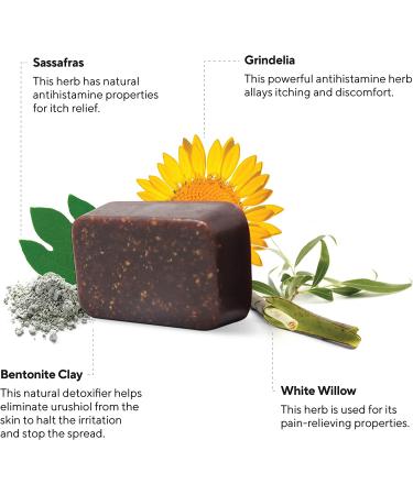 Marie's Original Poison Ivy Soap Bar - Natural Anti-Itch Treatment for Poison Ivy, Oak & Sumac - Soothes Rashes - 2.9oz Bar - Buy Online on GoSupps.com