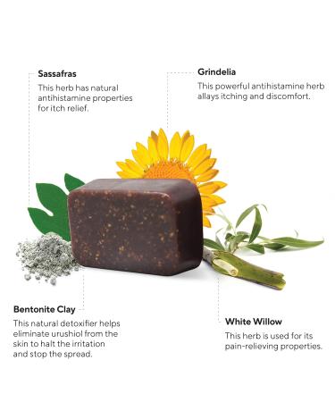 Marie's Original Poison Ivy Soap Bar - 100% Natural Anti-Itch Treatment for Poison Ivy, Oak, Sumac - Soothes Rashes - 2.9oz - Buy Online on GoSupps.com