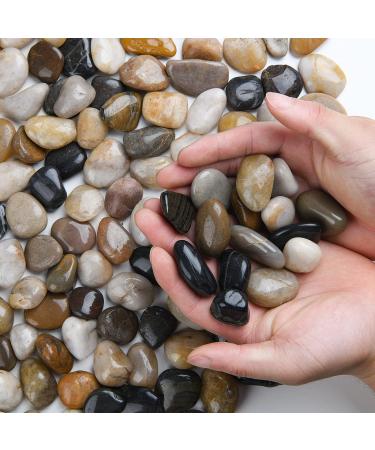 Hisredsun 2.1 lb Decorative Stones 0.4-1 inch Natural Polished Pebbles for Plant Pots River Rocks for Landscaping Vase Fillers Succulents Aquarium and Garden Decoration 0.95 Kilograms Multi - Buy Online on GoSupps.com