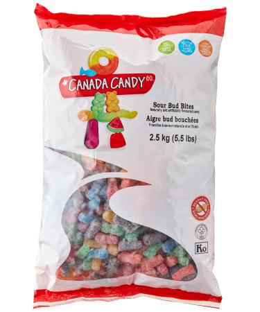 CANADA CANDY Sour Bud Bites Assorted Fruit 2.5 Kilogram