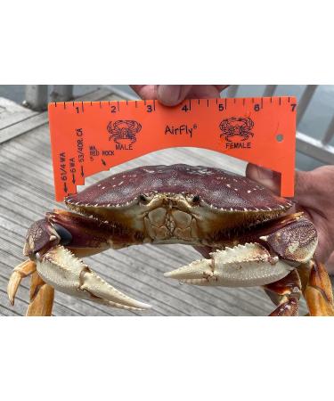 AirFly Foldable Castable Crabjaw Trap with Bait Clip - Durable & Convenient Design | 1pc - Buy Online on GoSupps.com