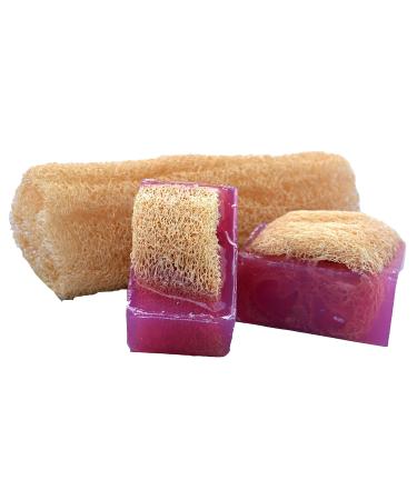 Luffa Soap Bar (4.5oz) - Exfoliating Handmade Glycerin Soap - Amazing Grace by Falls River Soap - Ideal for All Skin Types - Buy Online on GoSupps.com