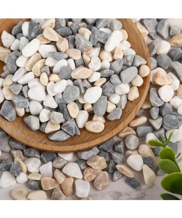 VGOODALL 900g Mixed Colour Gravel Pebbles - 2LB Natural Decorative Pebbles for Succulents, Vases, Aquariums & Outdoor Decor - Buy Online on GoSupps.com