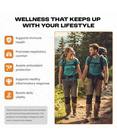 M NUTRITION Quercetin Supplement with Bromelain & Vitamin C 630mg Quercetin Supports Healthy Seasonal Immune & Respiratory Function Antioxidant Support Non-GMO Gluten-Free 60 Capsules - Buy Online on GoSupps.com