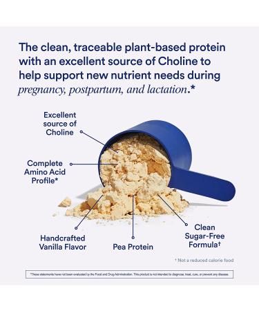 Ritual Vegan Protein Powder with Choline for Prenatal & Postpartum Support - 20g Organic Pea Protein, Gluten-Free, Plant-Based, Sugar-Free, Vanilla - 1 Pound - Buy Online on GoSupps.com