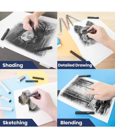 Pacific Arc Compressed Charcoal Sticks Medium 12 Pack - Drawing, Sketching, Shading - Buy Online on GoSupps.com