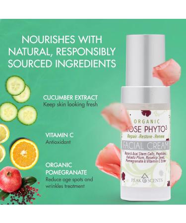 Buy Anti-Aging Face Cream with Organic Phyto - Collagen Retinol & Vitamin C for Vibrant Skin - 1 fl. oz Airless Pump - Buy Online on GoSupps.com