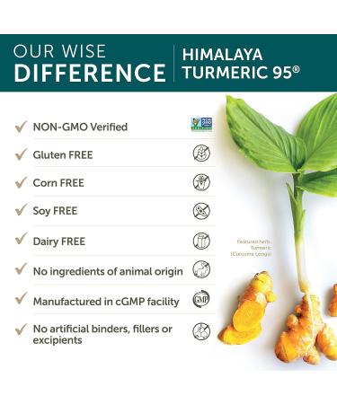 Himalaya Turmeric 95 with Curcumin 60 Vegetarian Capsules for Antioxidant & Joint Support 600 mg 1 Month Supply 60 count (Pack of 1) - Buy Online on GoSupps.com