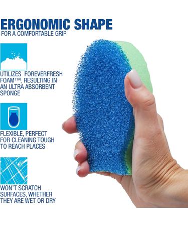 Bar Keepers Friend Cooktop Cleaning Kit - 13oz | Stovetop Stain Remover & Polisher - Buy Online on GoSupps.com