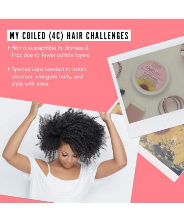 JANE CARTER SOLUTION Curls to Go Cocktail Conditioning Cream 12oz - Hydrating Curl Cream for All Hair Types - International Shipping Available - Buy Online on GoSupps.com