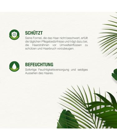 noxx HC Super Green LeaveIn Care hair cream 150 ml antibreakage supple ends shiny hair intensive moisture soft and smooth hair easy scanning 150 ml 150 ml 1er Pack - Buy Online on GoSupps.com