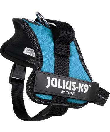 K9 Powerharness S/Mini - Aquamarine | Shop Internationally for the Best Dog Harness  - Buy Online on GoSupps.com