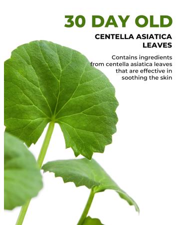 DERMAFIRM Cica AC Spot Cream - Centella Asiatica Hydrating Cream for Face - Age Defying Korean Beauty Acne Care Niacinamide Zit Face Moisturizer for Dry Sensitive Skin 0.53 oz - Buy Online on GoSupps.com