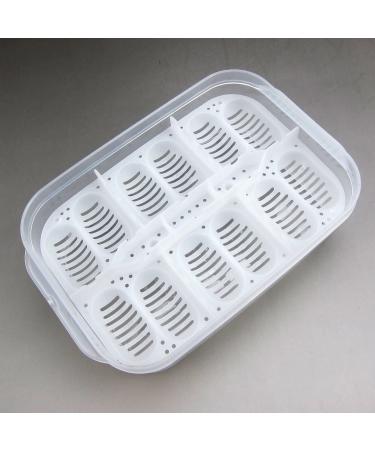 Alfie Pet Bali Reptiles Egg Incubator Tray - Ideal for Reptile Breeding and Incubation - Buy Online on GoSupps.com