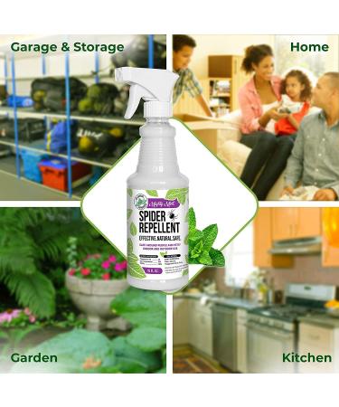 Mighty Mint 16oz Spider Repellent Peppermint Oil Spray - Natural Killer and Deterrent for Spiders and Insects - Buy Online on GoSupps.com