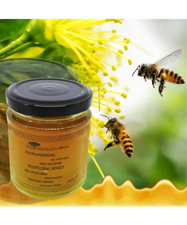 Premium Wildflower Honey - Creamy Spreadable A Fine And Refined Texture | Pure Natural And Tasty Polyfloral Honey For Adults And Kids 240 g - Buy Online on GoSupps.com
