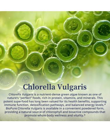 BioPure Chlorella Vulgaris Powder Nutrient-Dense Nutraceutical Superfood Packed with Proteins Vitamins Minerals & Amino Acids for Detox Immune Support and Whole-Body Wellness 200g - Buy Online on GoSupps.com