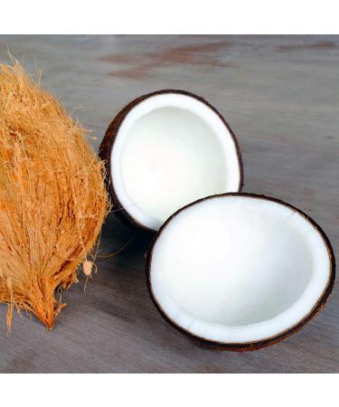 Ecological Formulas Monolaurin 300 mg Tamper Resistant Ship Pack 180 Capsules Unflavored 180 Count (Pack of 1) - Buy Online on GoSupps.com