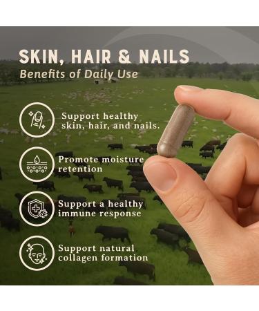 Heart & Soil 100% Grass Fed & Finished Hair Skin and Nails Supplement from Regenerative Cattle with Cartilage, Liver, & Bone Marrow 3000mg Beef Organs for Women & Men Glass Bottle 180 Capsules Skin, Hair & Nails - Buy Online on GoSupps.com