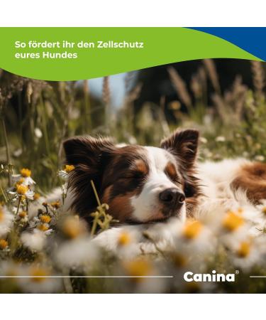 Canina caniz Plus 180 Angle G Tablets - Buy Online on GoSupps.com