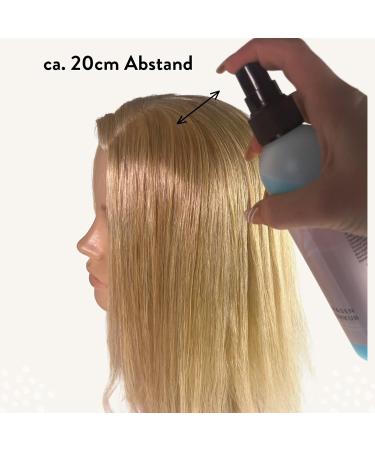 Hair2Heart Leave-In Conditioner 2-Phase Care Spray - Premium Hair Care for Extensions - International Shipping Available - Buy Online on GoSupps.com