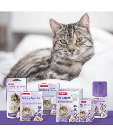 Beaphar Calming No Stress Cat Pack - 30ml Diffuser & Recharge for Cat Anxiety Relief | International Shipping - Buy Online on GoSupps.com