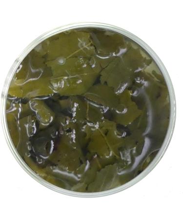Premium China Oolong Loose Leaf Tea - 150g (Pack of 1) - Buy Online on GoSupps.com