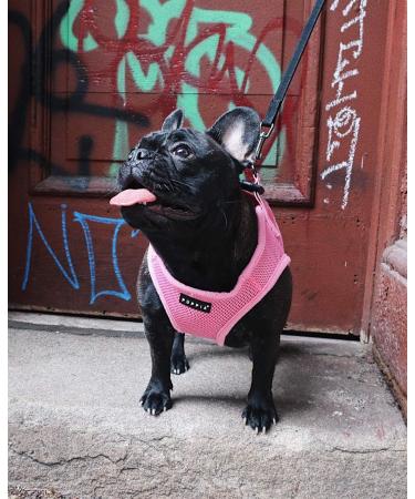 Puppia Dog Harness for Small & Medium Dogs | Soft & Colorful | Atani Train Harness - Pink XL | Multi-Functional & Comfortable - Buy Online on GoSupps.com