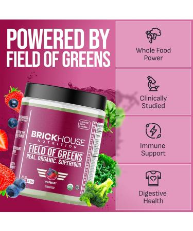 BRICKHOUSE NUTRITION Field of Greens Super Greens Powder | Doctor-Formulated Superfood Powder, Fruits & Veggies Supplement - Wildberry (Single Pack) - Buy Online on GoSupps.com