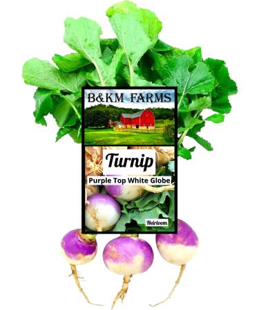 1,700 Purple Top White Turnip Seeds for Planting, Non-GMO Heirloom Vegetable Variety Seed Packet Instructions to Plant a Home Vegetable Garden 4G Great for Summer, Fall & Winter Gardens B&KM Farms Clear Package 4 Grams