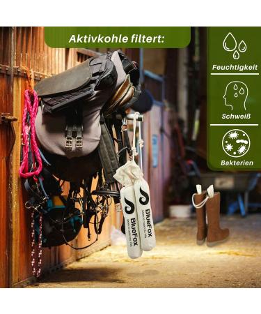 BlueFox I Air Purifier & Dehumidifier - Activated Carbon 2x150g | Odor Remover & Freshener for Boots & Shoes - Buy Online on GoSupps.com