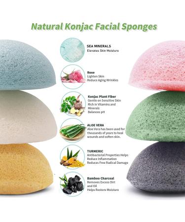 Organic Konjac Sponge Set for Deep Cleansing and Exfoliation - 6 Piece Facial Skin Care Kit - Buy Online on GoSupps.com