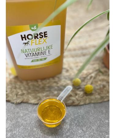 HORSE FLEX Natural Vitamin E Oil for Horses - 1L | Supports Muscle Health | International Shipping - Buy Online on GoSupps.com