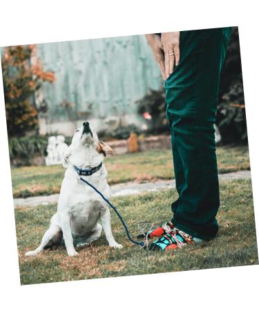 Buy Angoily Stainless Steel Dog Clutch Belt - 2-Piece Metal Binder Set (42x8.5x4cm) - Durable Silver Design for International Shipping - Buy Online on GoSupps.com