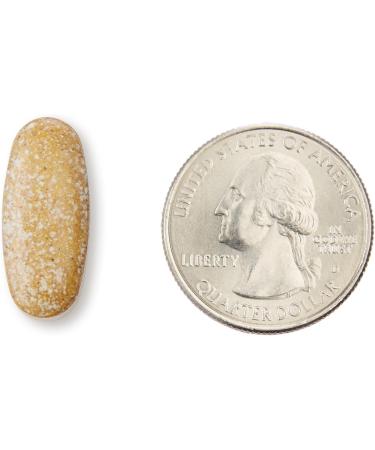 Amazon Elements Women s One Daily Multivitamin 59% Whole Food Cultured Vegan 65 Tablets 2 month supply (Packaging may vary) women 65 Count (Pack of 1) - Buy Online on GoSupps.com