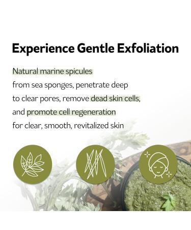 PESTLO Spicule Re-Born Exfoliating Peeling Mask - Gentle Exfoliation & Nourishing Hydration for All Skin Types (4.23 oz / 120ml - Buy Online on GoSupps.com