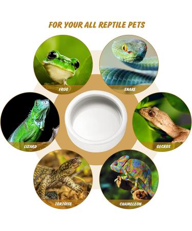 Small Ceramic Reptile Food Dish Bowl & Water Dish Set - 2 Pack | Ideal for Lizards, Geckos, Bearded Dragons, Chameleons, Hermit Crabs | Anti-Escape Design for Mealworms, Crickets, Superworms | 2.75in White - Buy Online on GoSupps.com