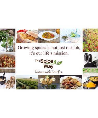 Spice Way Cardamom Ground - 4 oz | Green Decorticated Cardamom - Kosher - Buy Online on GoSupps.com