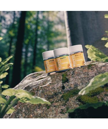 Hello Focus - Premium Cognitive Support Supplement - with Kanna Lion s Mane Bacopa & Ginkgo - Non-GMO Vegan Capsules - Supports Mental Clarity Focus and Daily Cognitive Performance - 60 Count - Buy Online on GoSupps.com