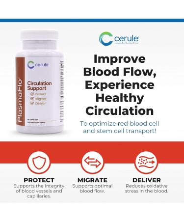 Cerule Plasmaflo Blood Flow and Circulation Support Supplement Vascular and Heart Health Formula with Enzyme Blend Gotu Kola Ginkgo Biloba Sea Buckthorn and Antioxidants 60 Vegetarian Capsules - Buy Online on GoSupps.com