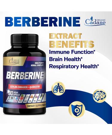 Organic Cadane Berberine Supplement with Ceylon Cinnamon Quercetin Black Pepper & More - Supports Heart Digestive Body & Immune - 90 Capsules for 3 Months - Buy Online on GoSupps.com